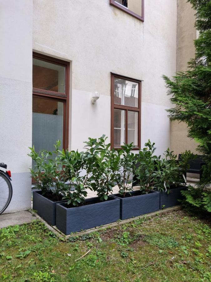 Apartment Alpa 2 In Rochusmarkt