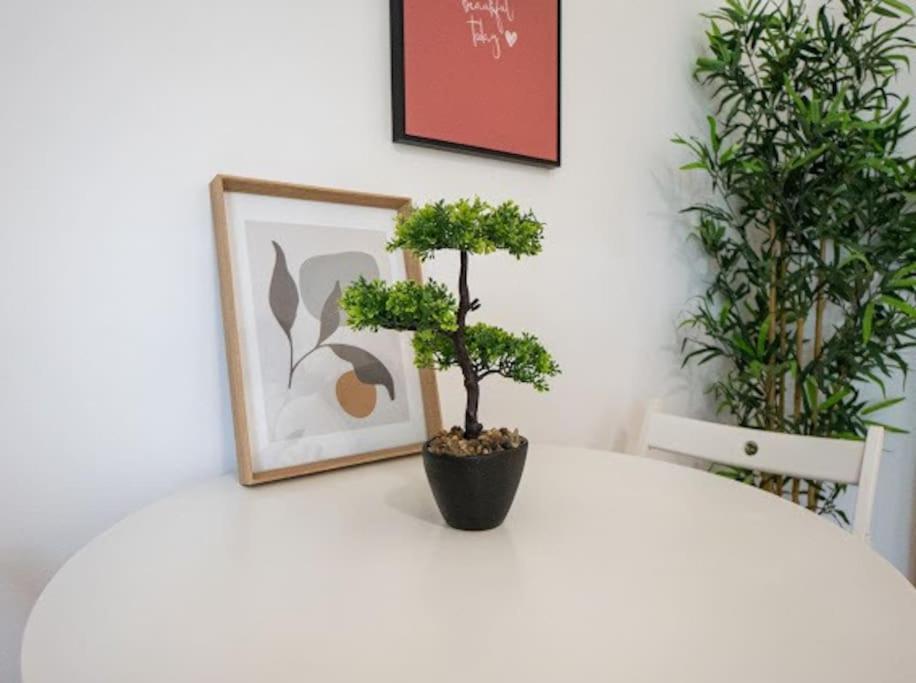 Stylish Flat In Beautiful Area! Apartment Vienna