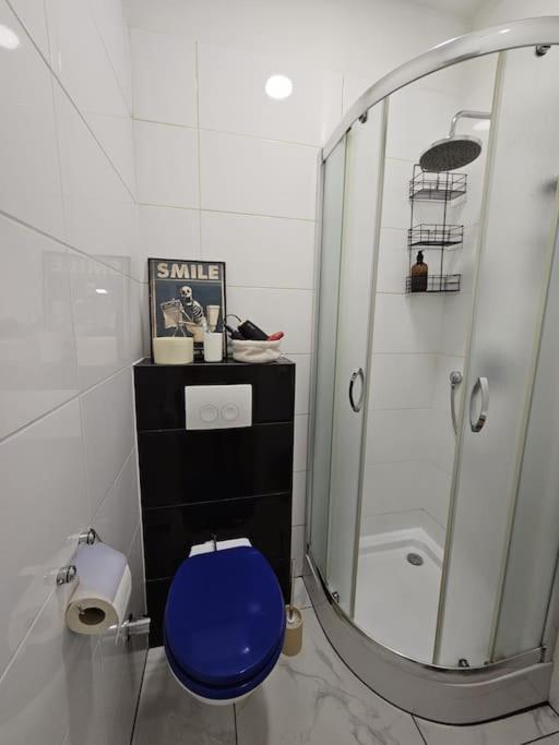 Apartment Comfort-suite 10 Min To Center