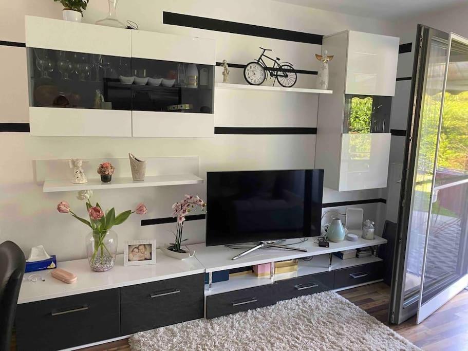 Tolle 3 Mit Garten Apartamento Viena
