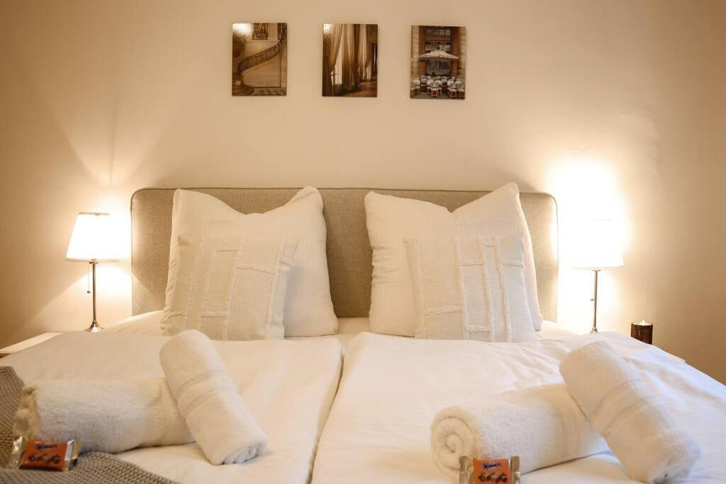 Charming, Modern & Spacious Vienna
