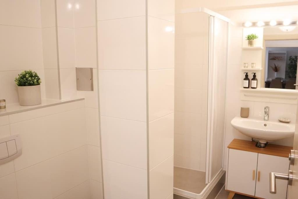 Charming, Modern & Spacious Vienna