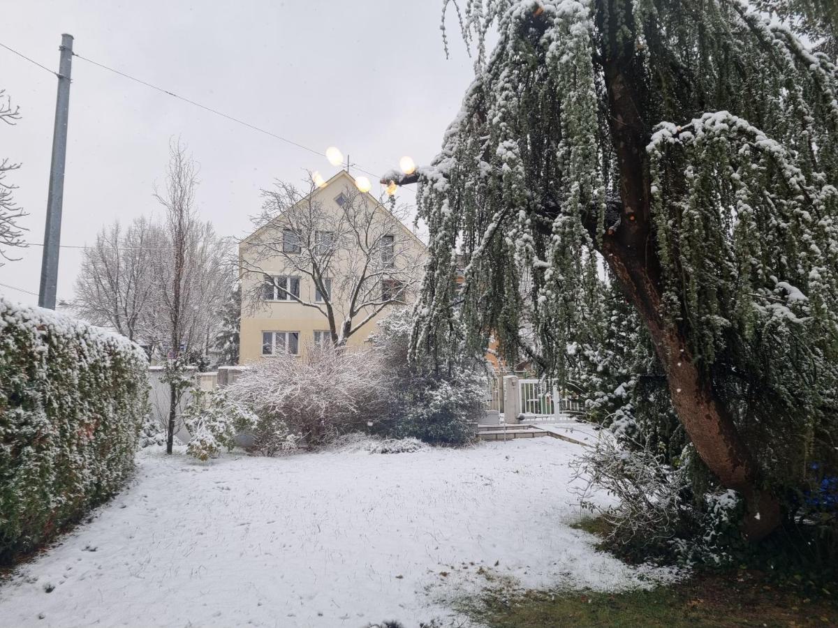 With Private Sauna And Jacuzzi, 8 Min From Schloss Schoebrunn
