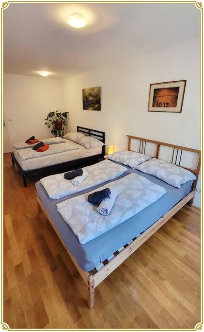 Apartment Sunshine Vienna