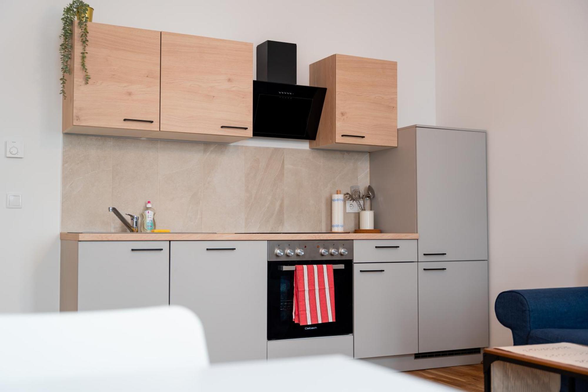 1150 Apartamento Viena