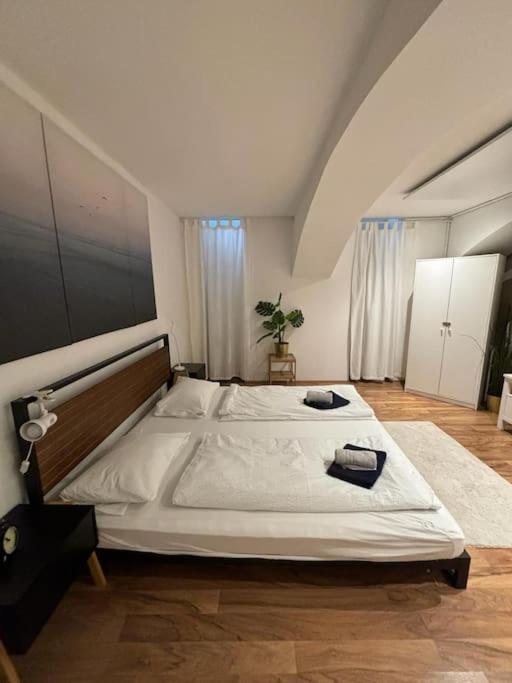 Trendy Souterrain Loft - Near City Center Vienna