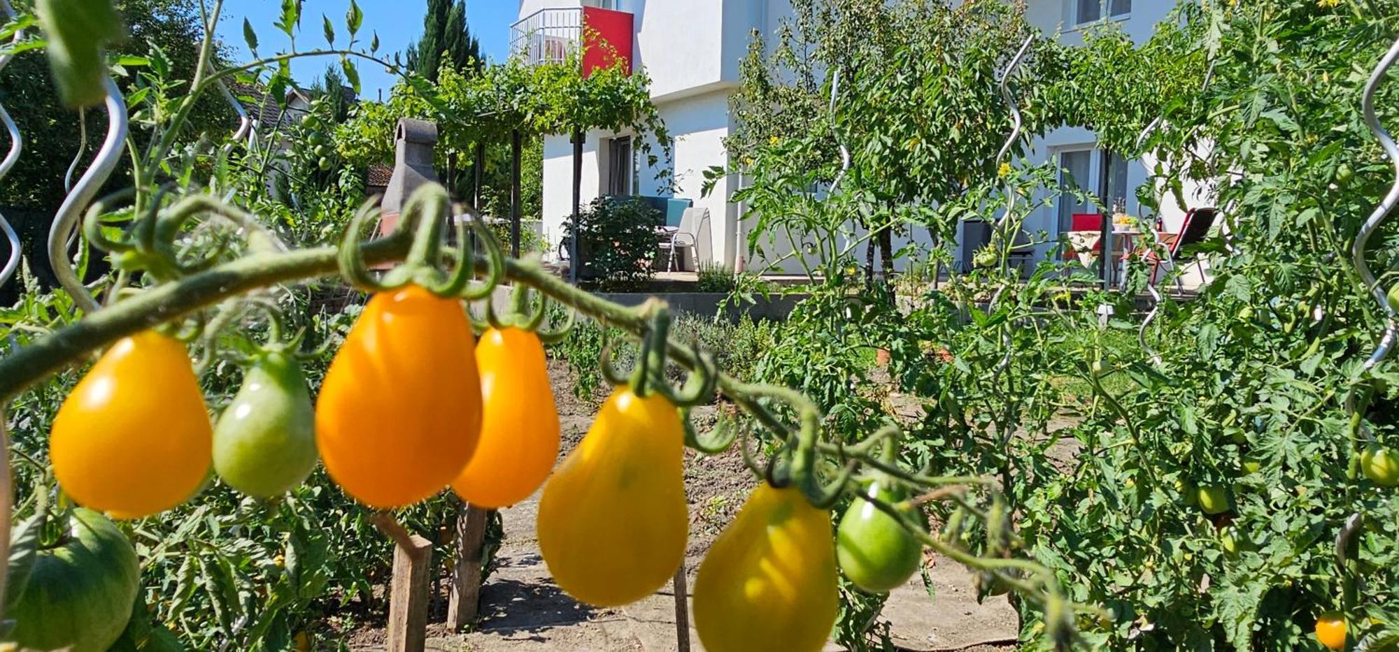 Apartamento Naturgespuer In *