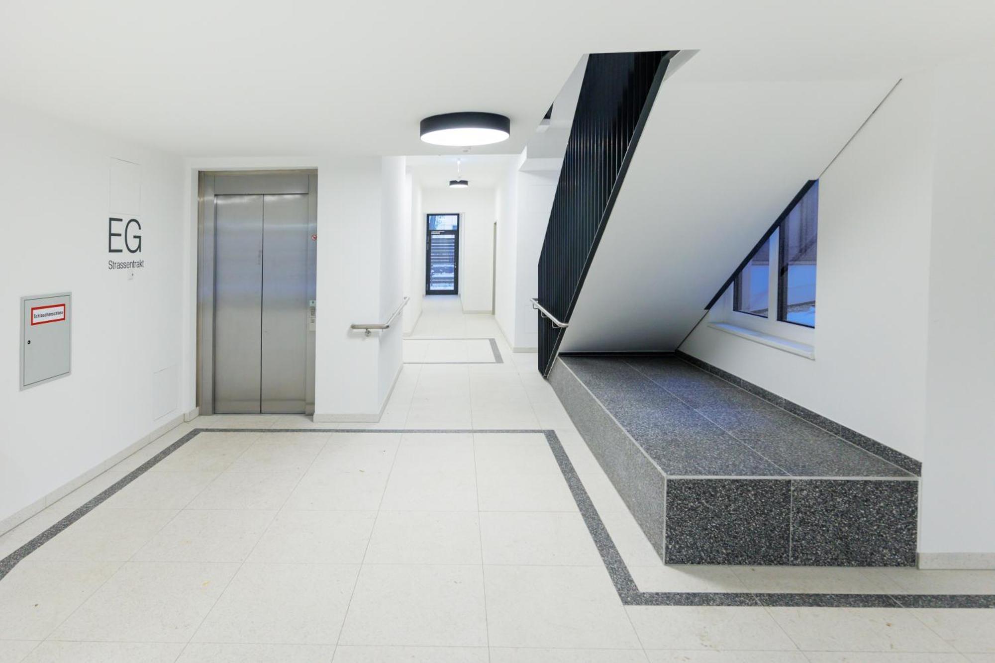 Zoder Vienna