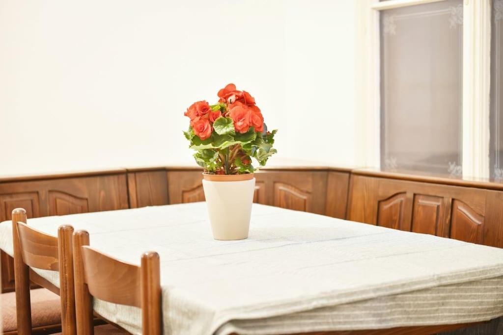 Charming Spacious Wien