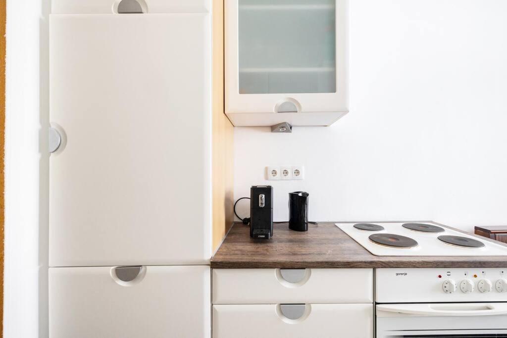 Charming Spacious Apartment
