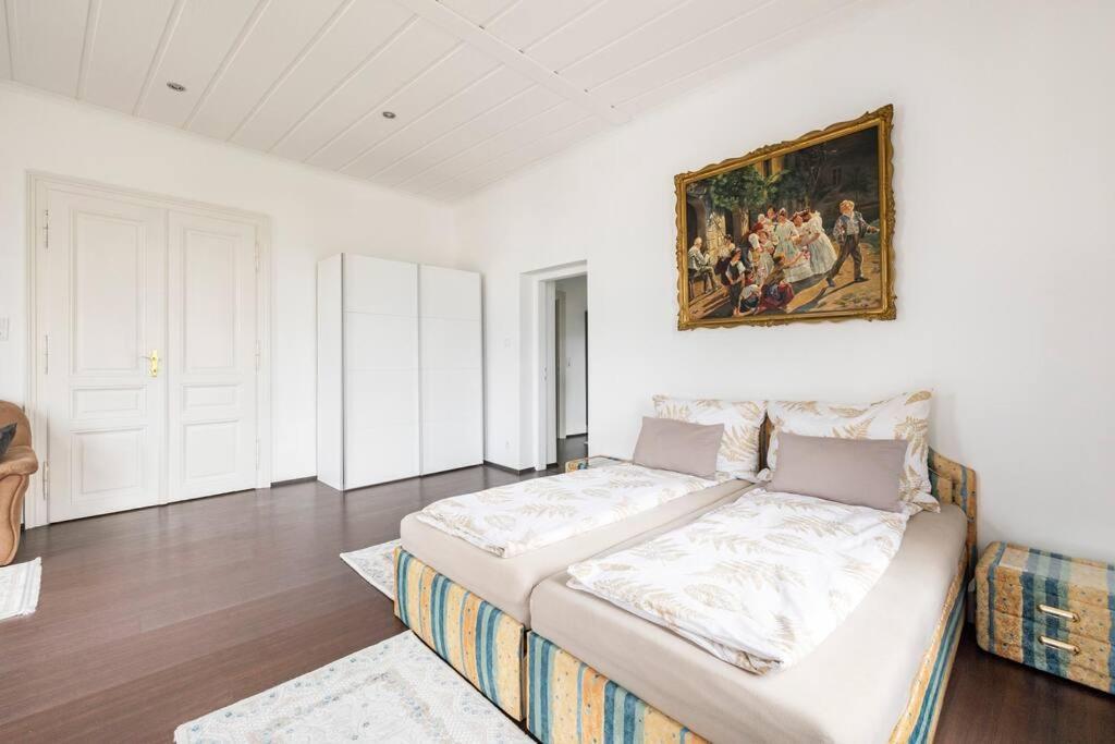 Charming Spacious Wien