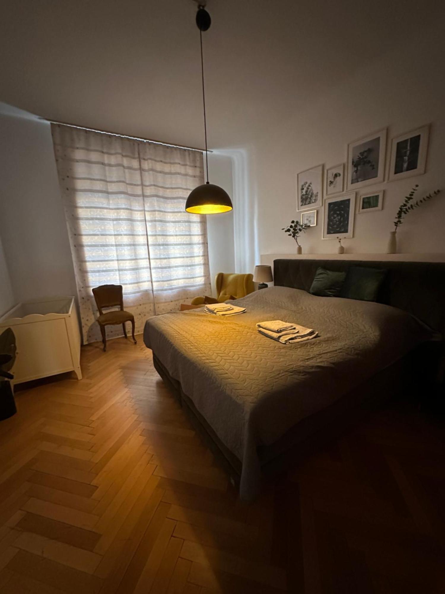 Big Vintage Style Flat Near Schonbrunn