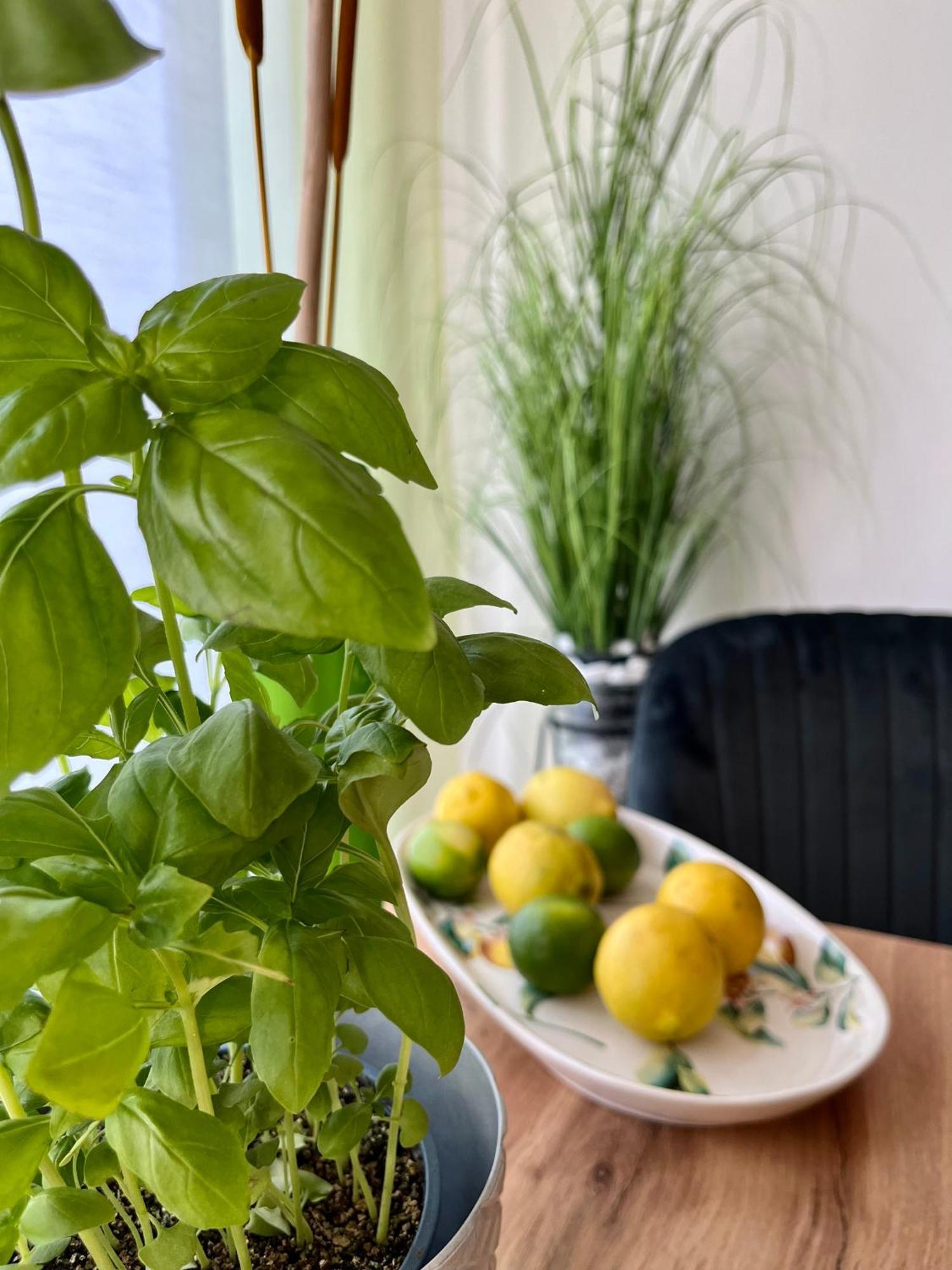 Luxurious Incl Garage And Terrace Apartment Wien