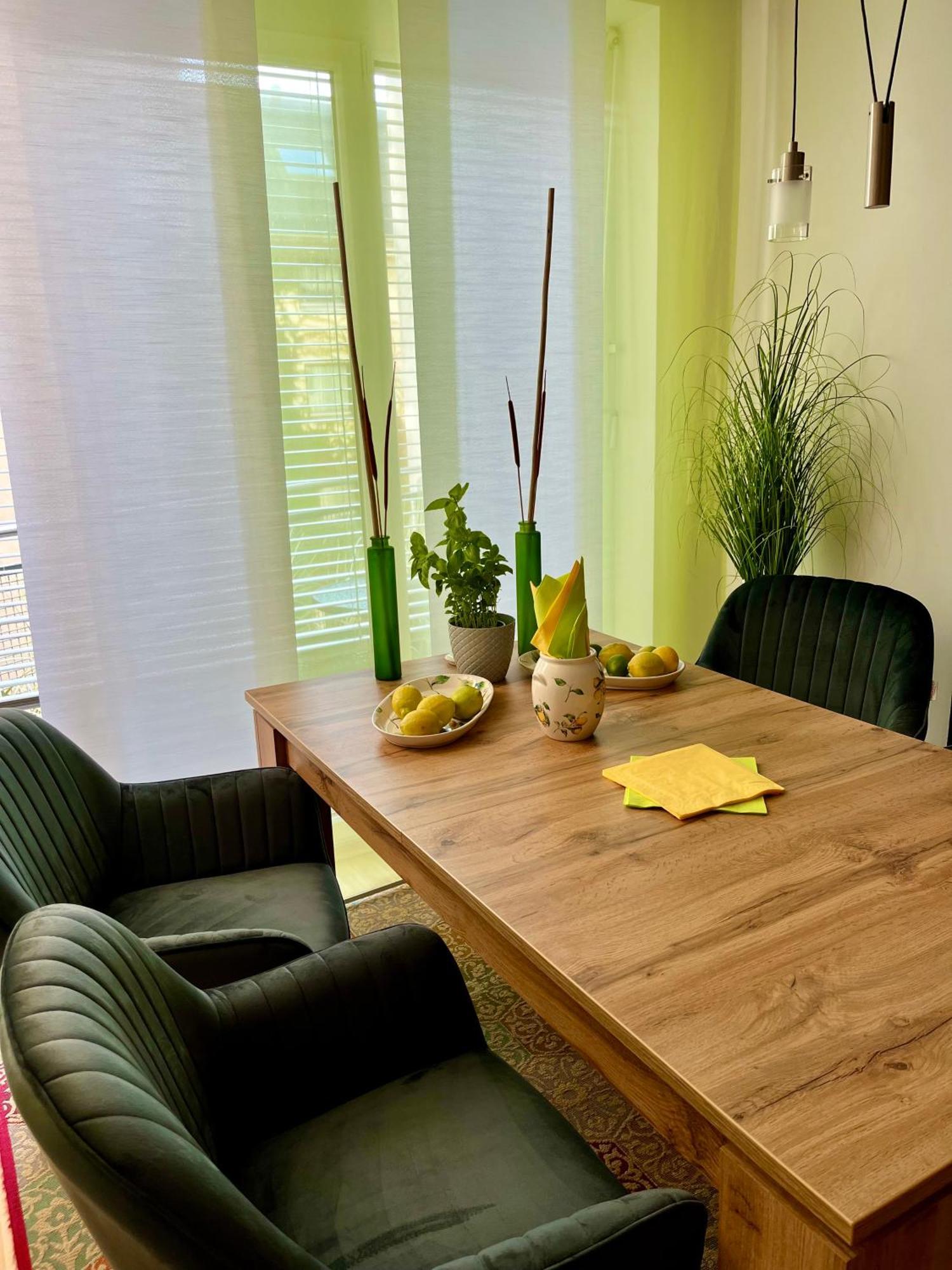 Luxurious Incl Garage And Terrace Apartment Wien