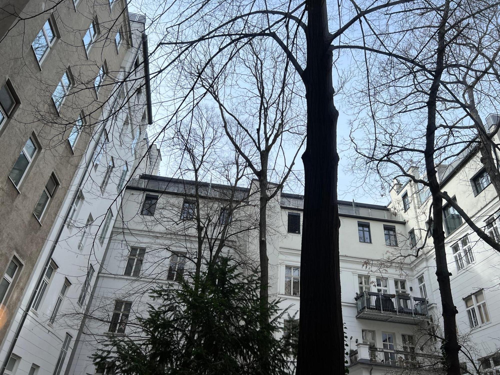 Loft Near Belvedere Castle Wien