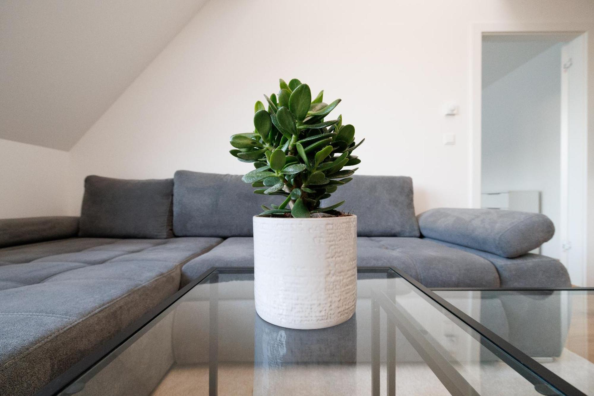 Symphony 41 - Modern Loft With Terrace And Grill In Location Apartment Vienna