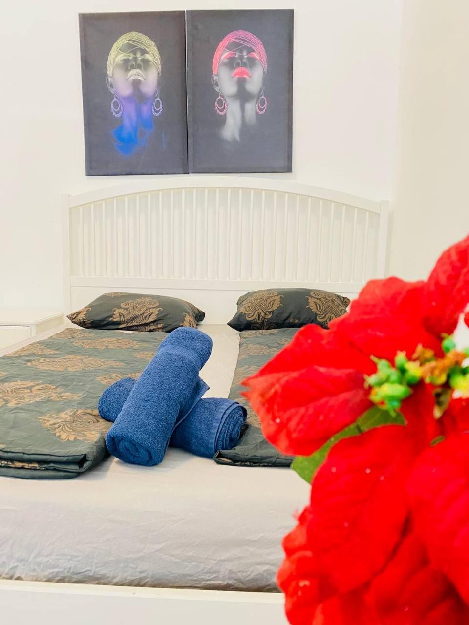 Cozy Studio Lg Vienna