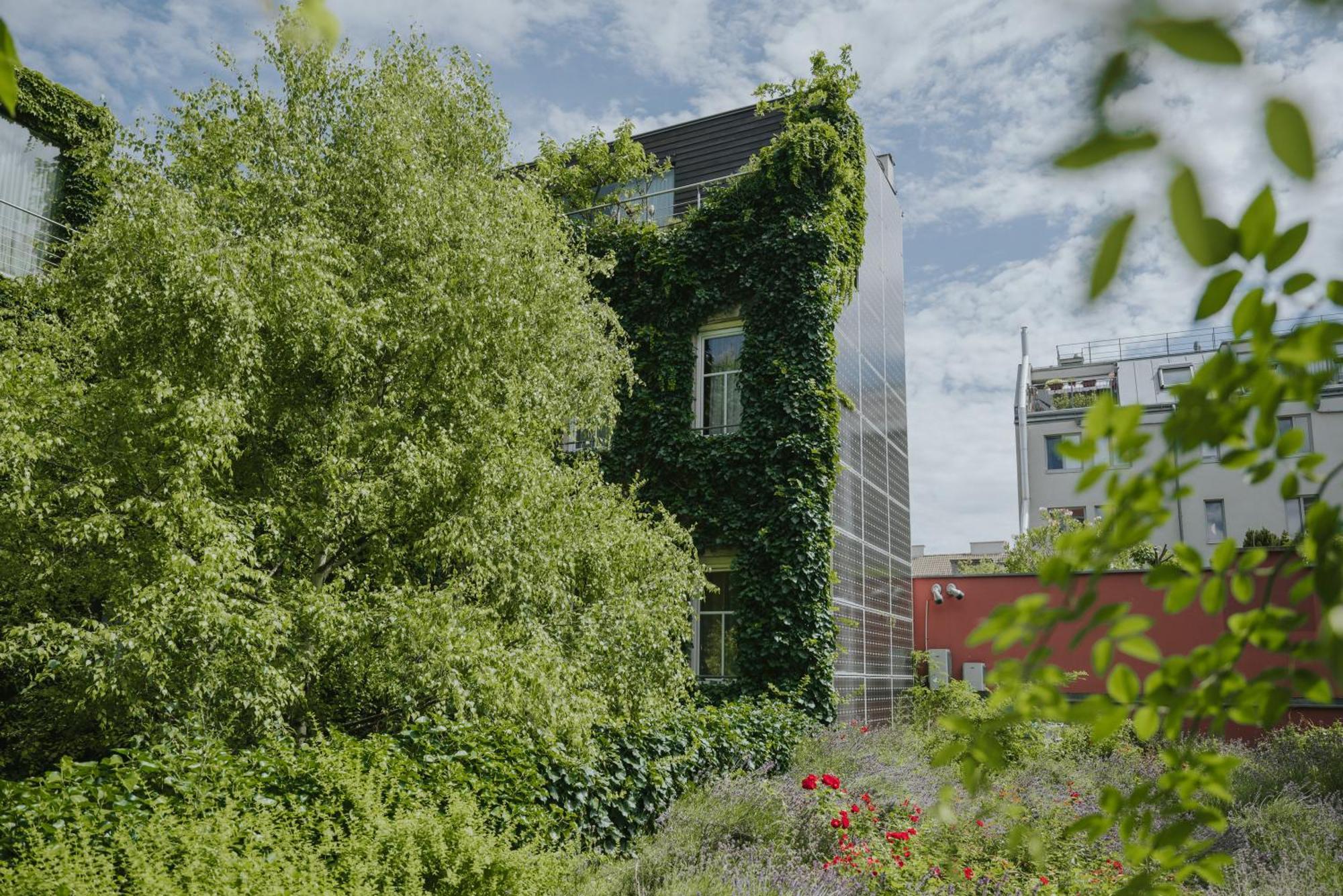 Hotel Boutiquehotel Stadthalle