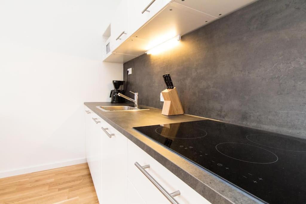 Lainzer Strasse Apartment Vienna