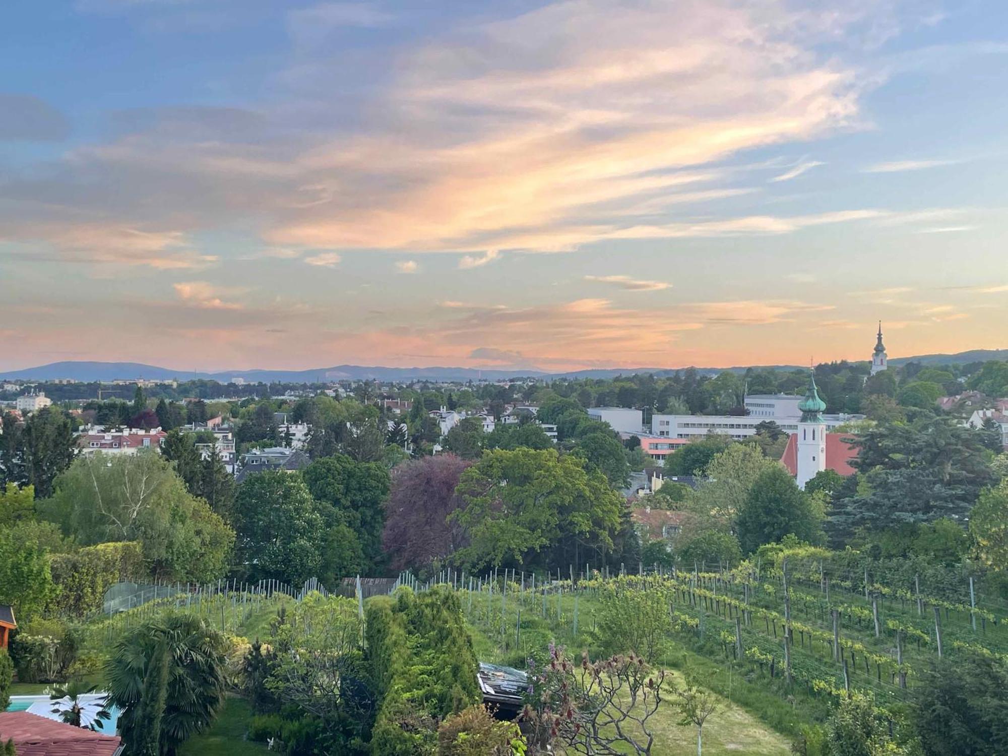 Herrlicher Ausblick Ueber Wien Appartamento *