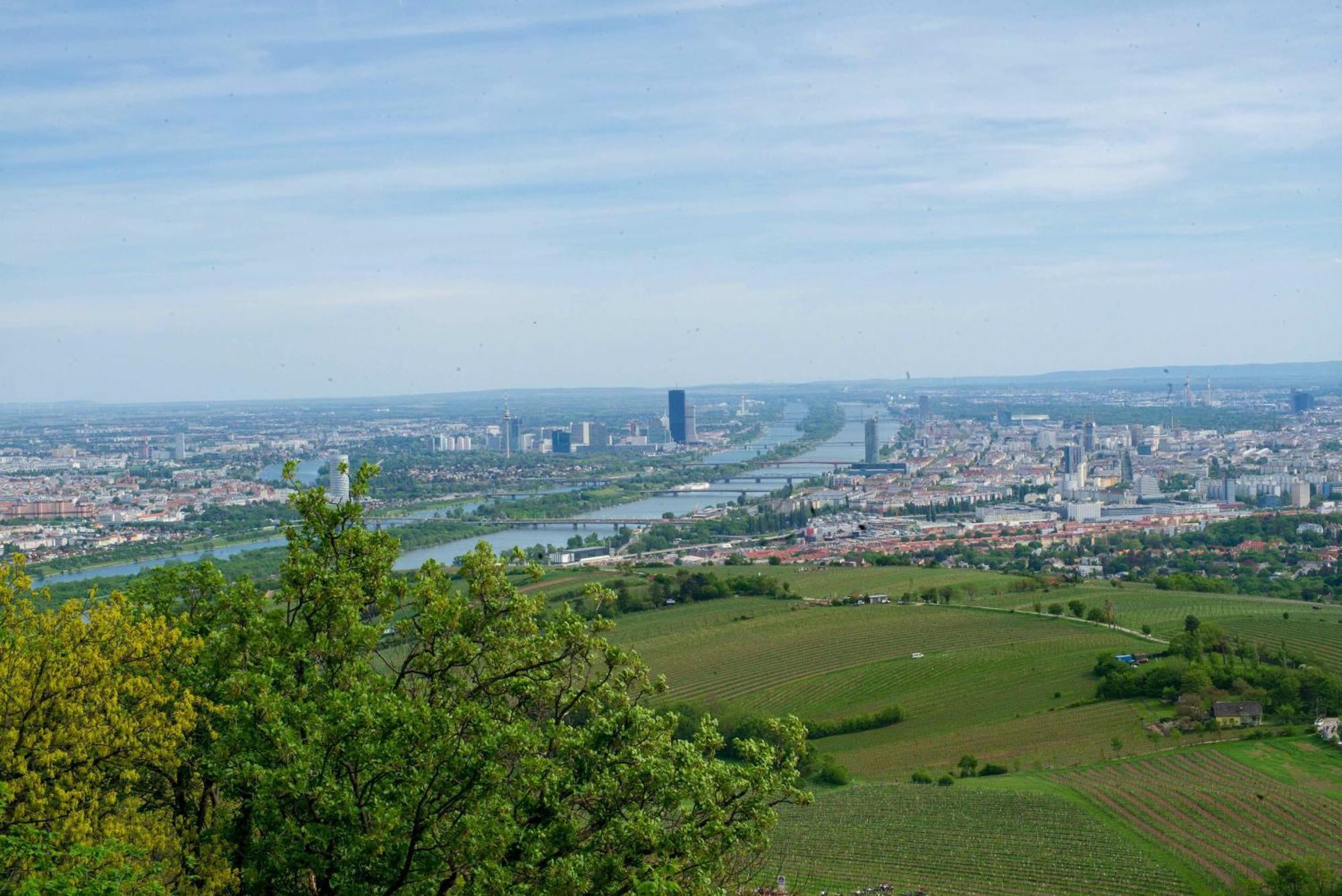 Herrlicher Ausblick Ueber Wien * Vienna