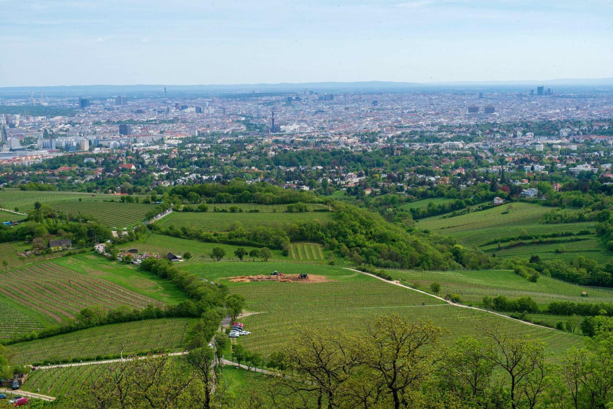Herrlicher Ausblick Ueber Wien Appartamento Vienna