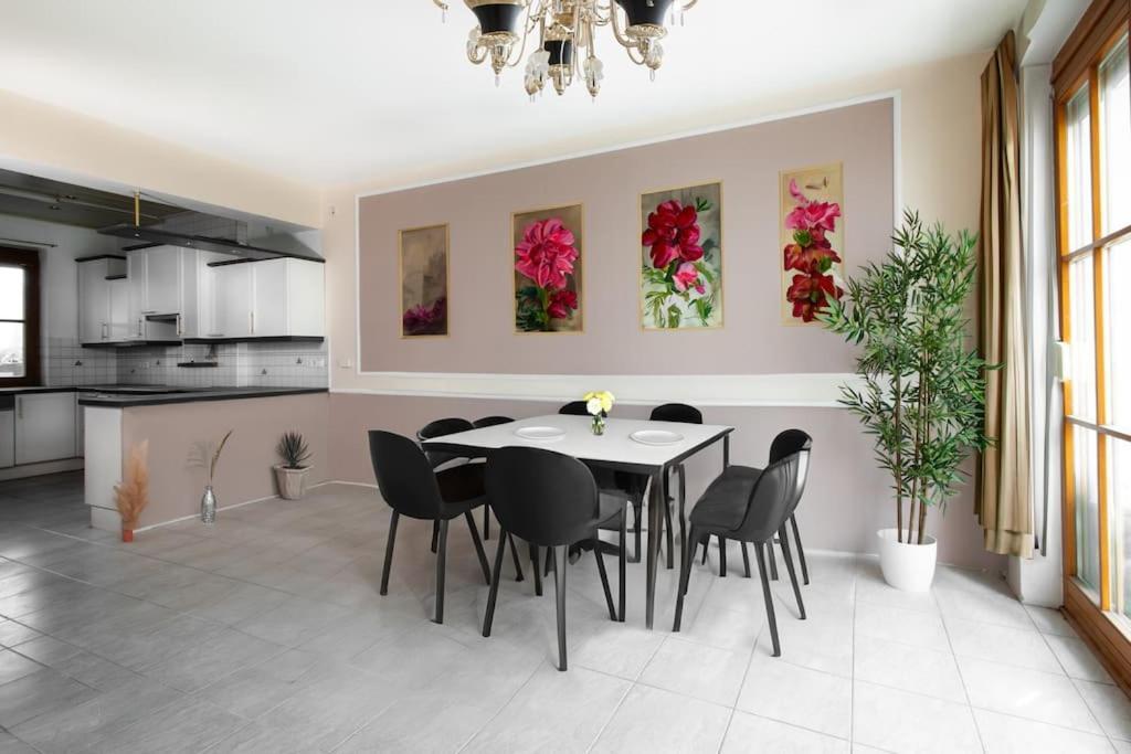 4-bedroom House & Large Garden * Viena