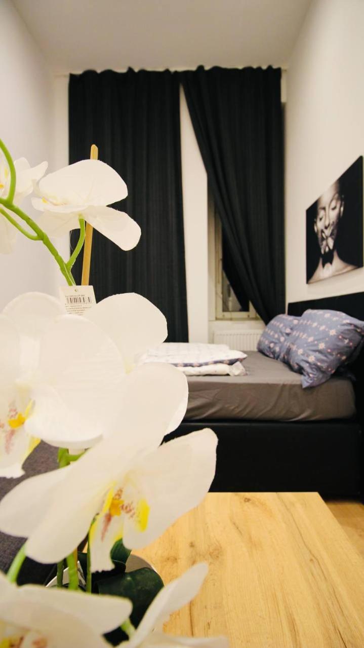 Cozy In Center Dw5 Homestay Vienna