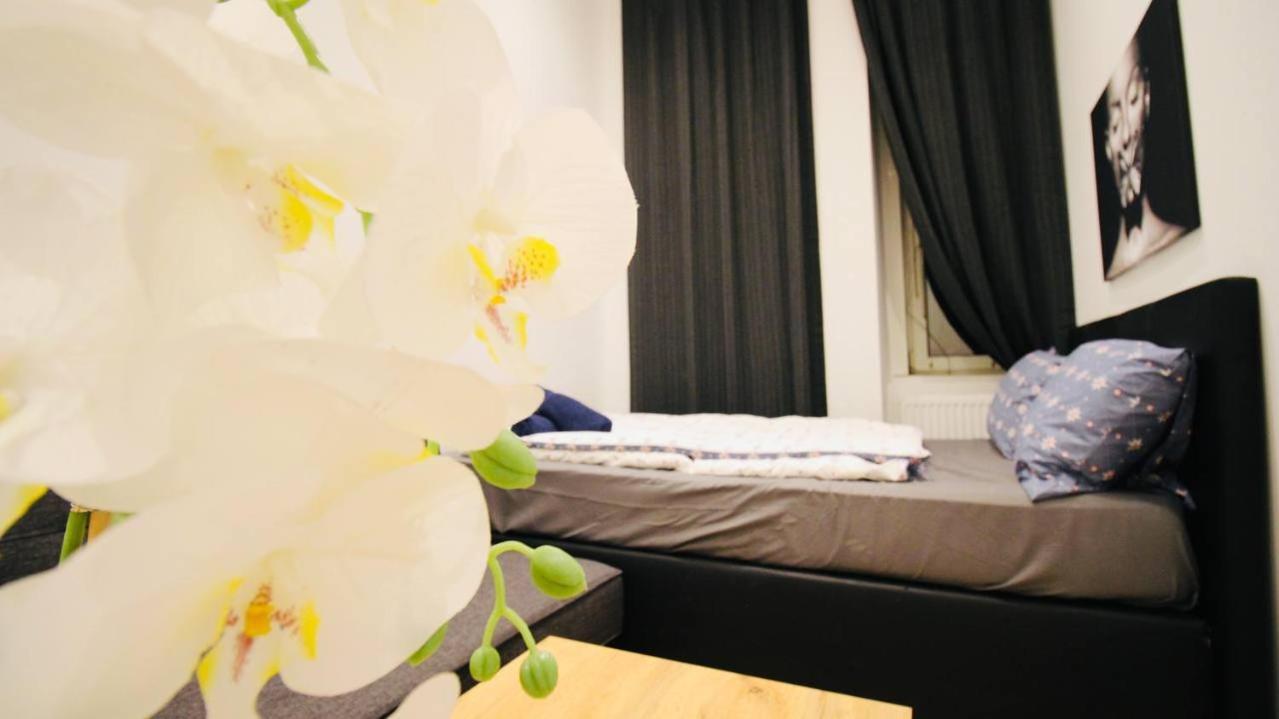 Cozy In Center Dw5 Homestay