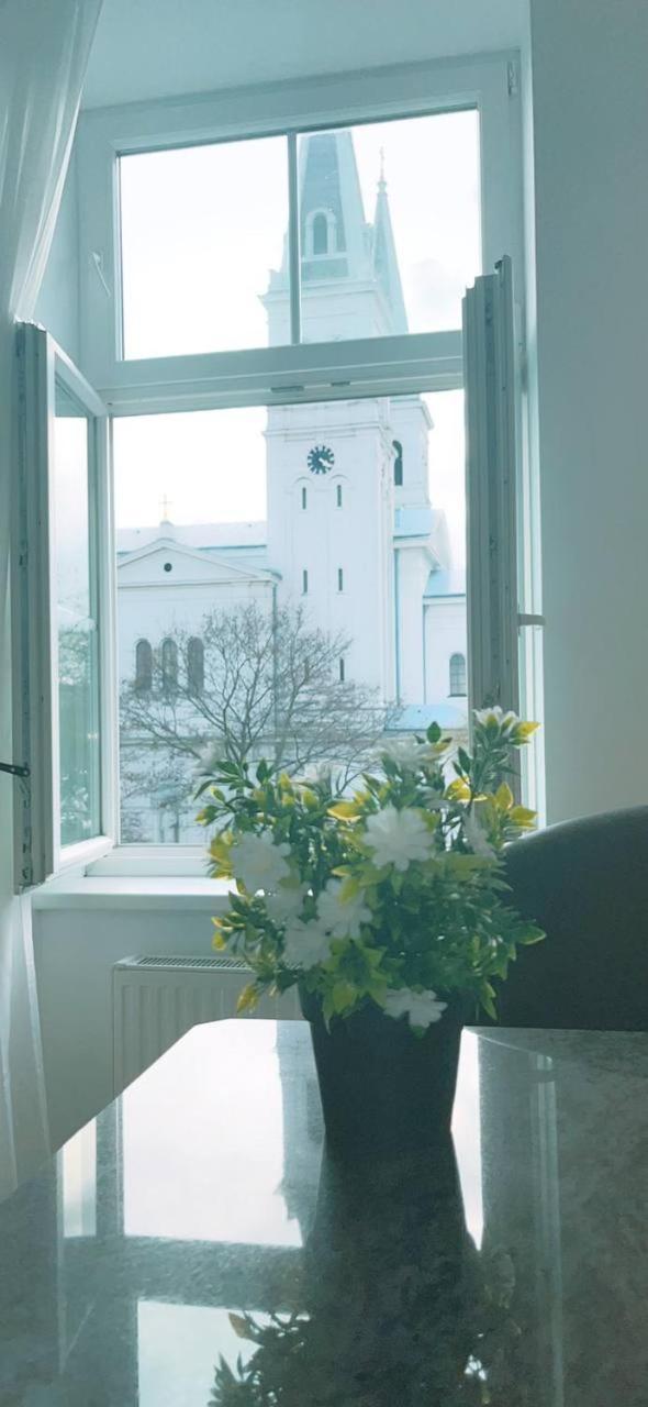 Homestay Cozy In Keplerplatz Kp Q Vienna