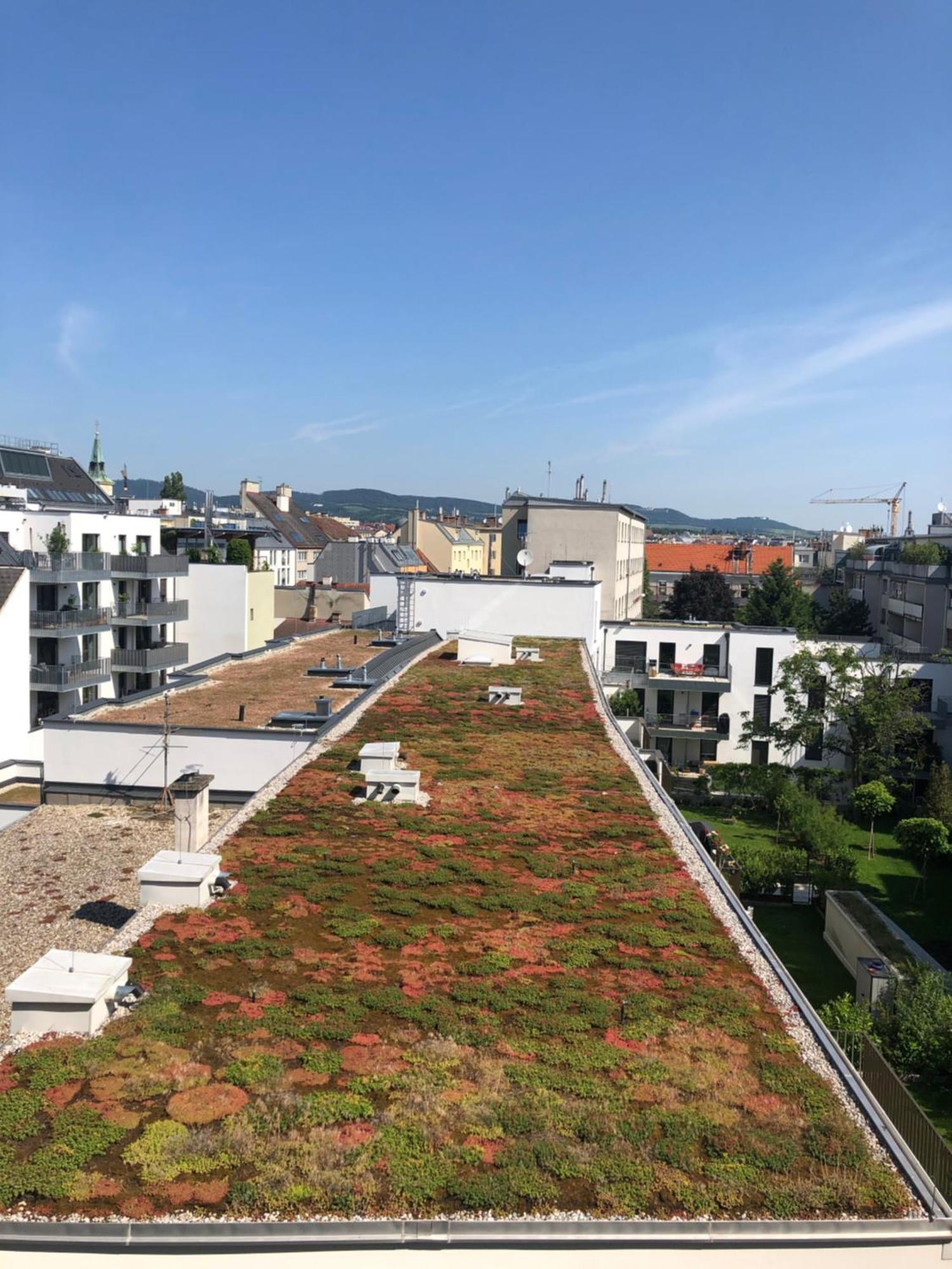 Apartment Sunny Side Up Vienna
