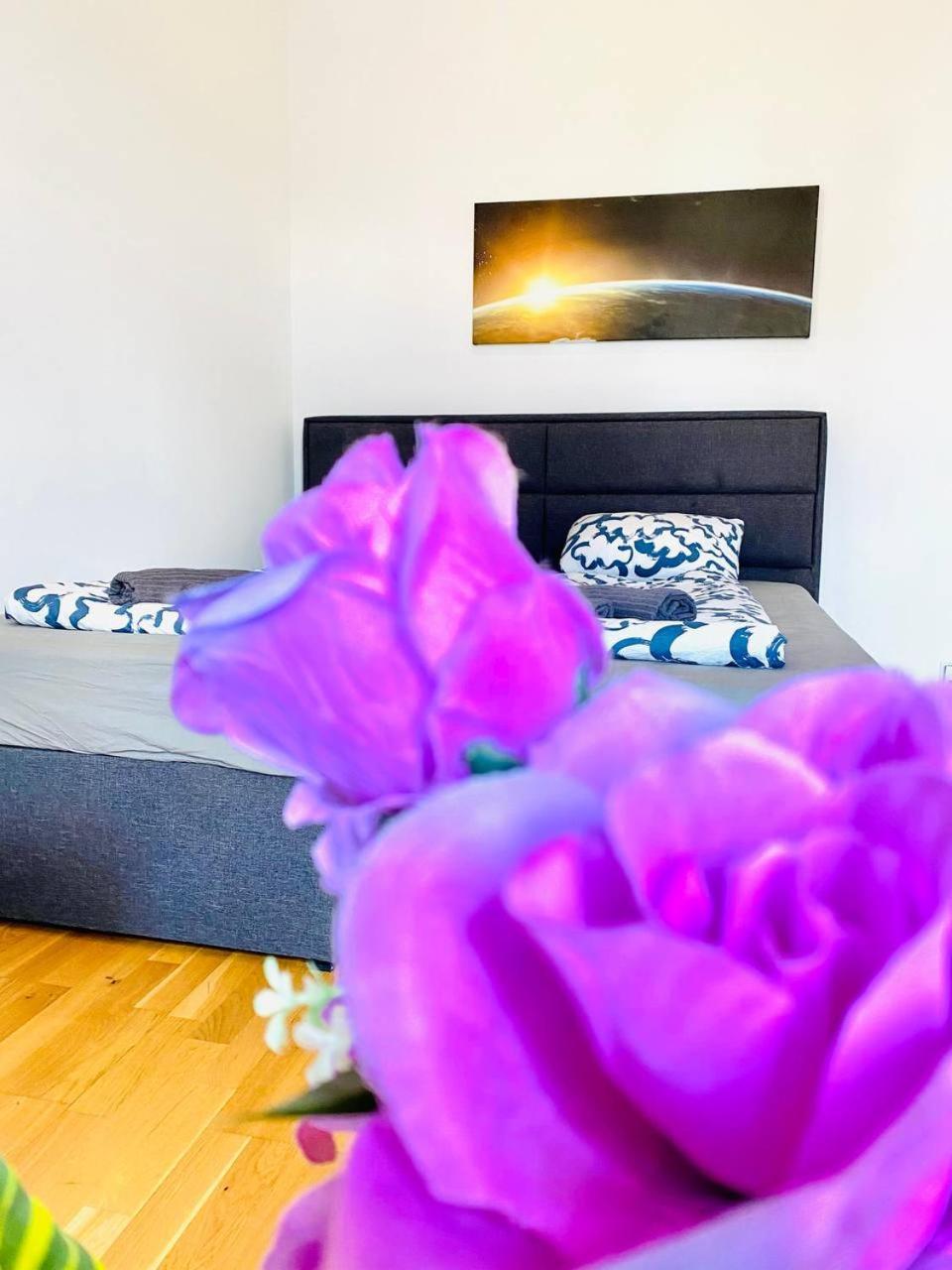 Homestay Cozy In Brigittenau Area Mm23 *