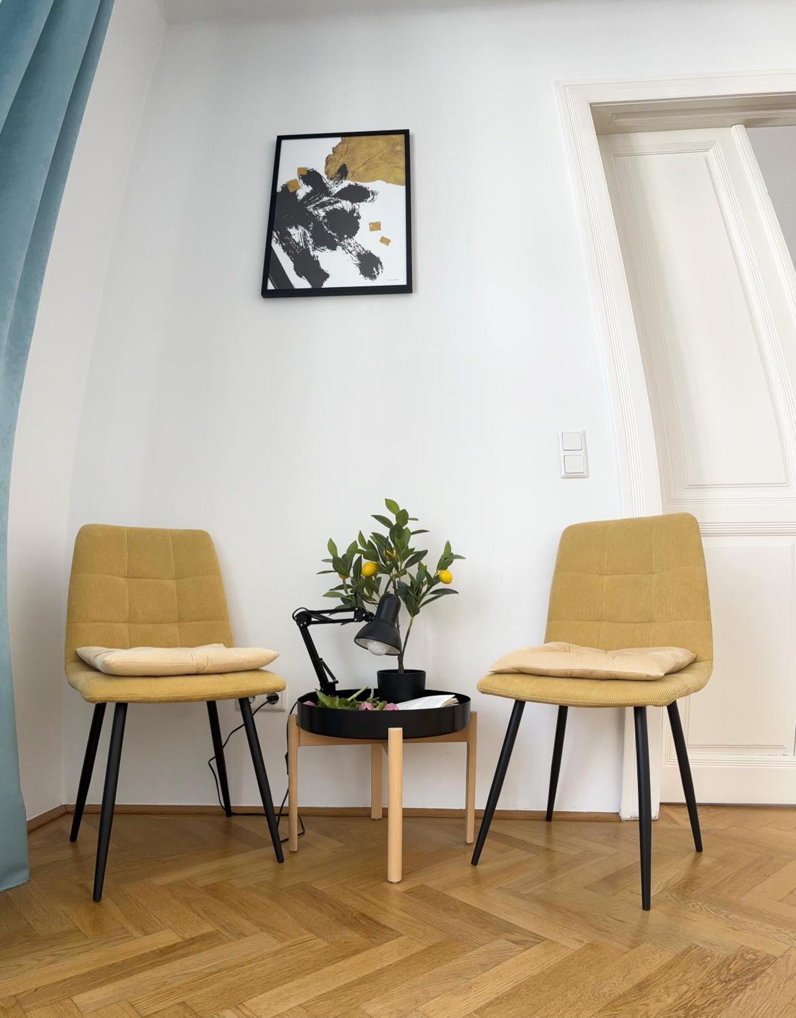 Apartment Mariahilfer Wien