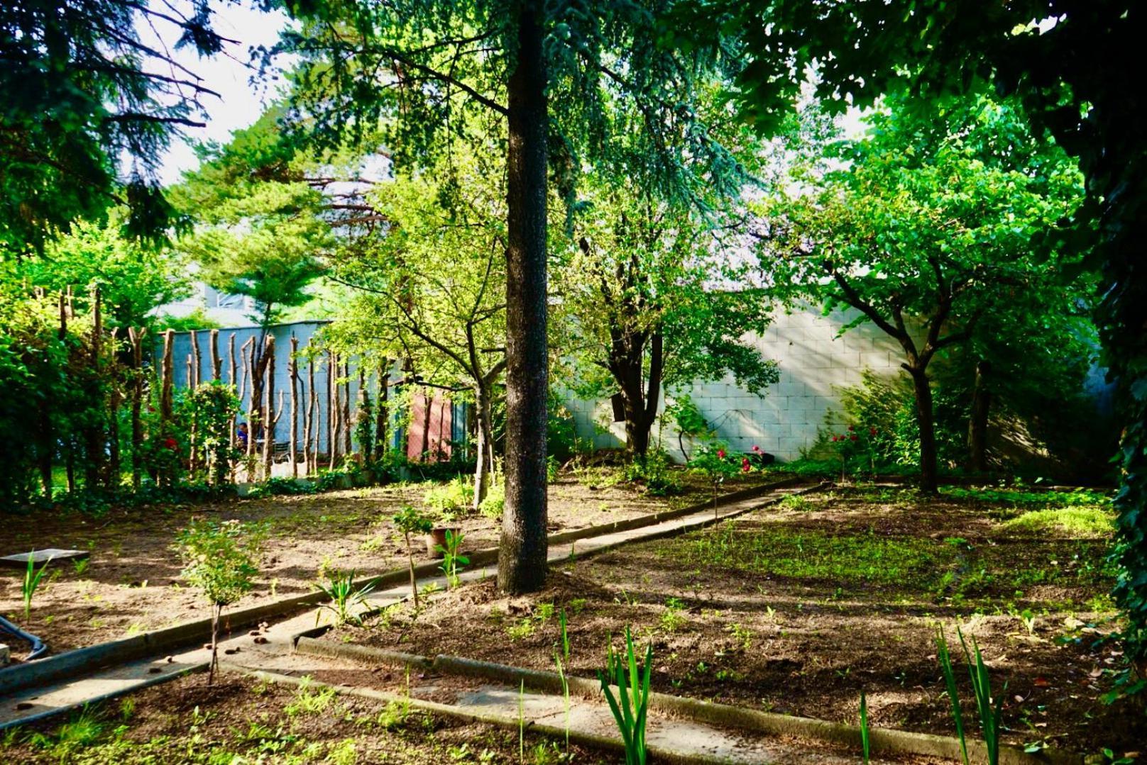 U6 Schoepfwerk Homestay Vienna