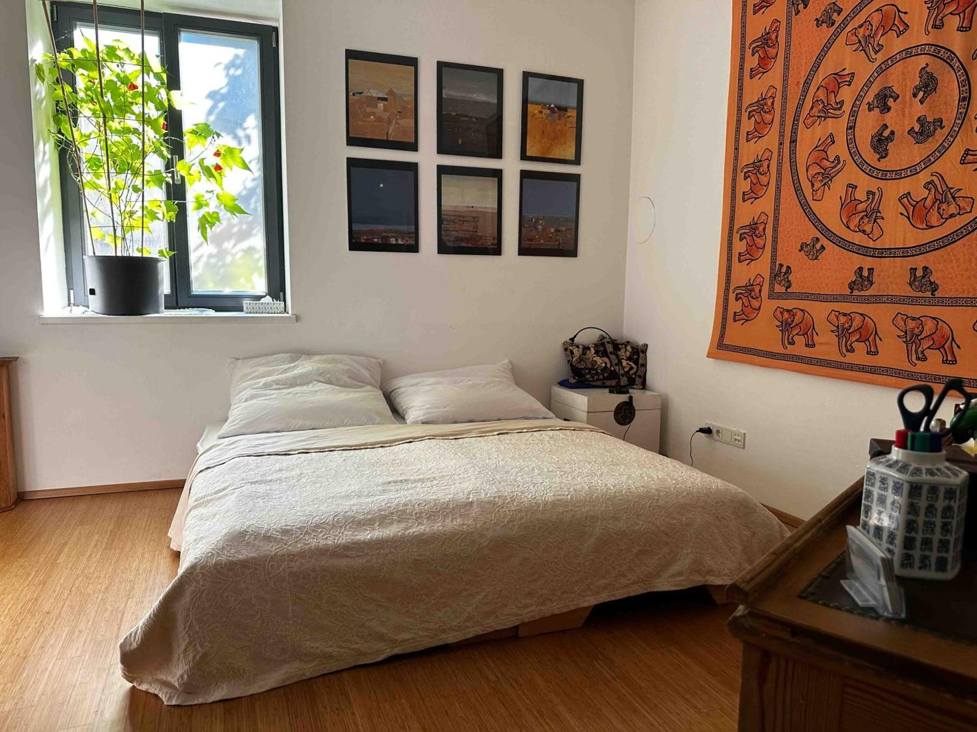 Apartment Wellness *