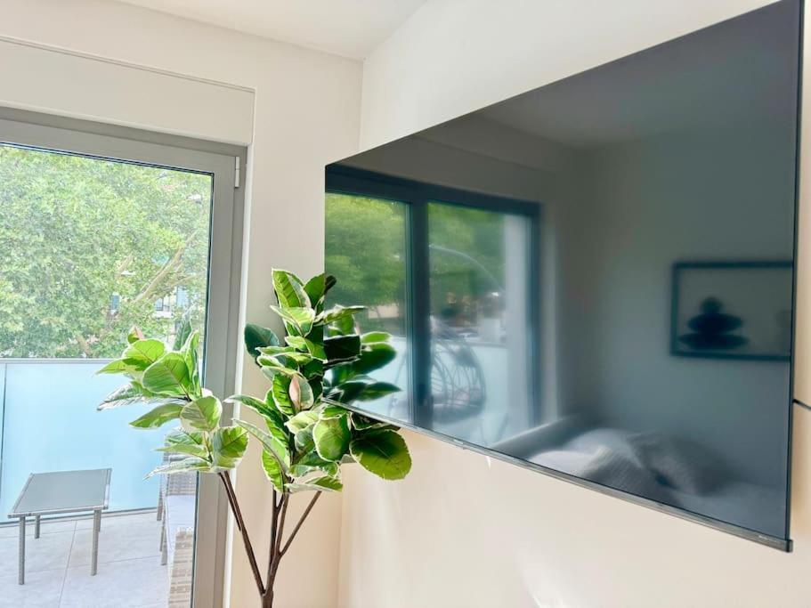 Apartment Rooftop With Balcony & Free Parking