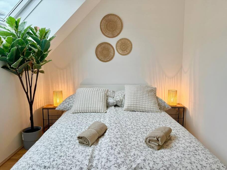 Rooftop With Balcony & Free Parking Apartment *