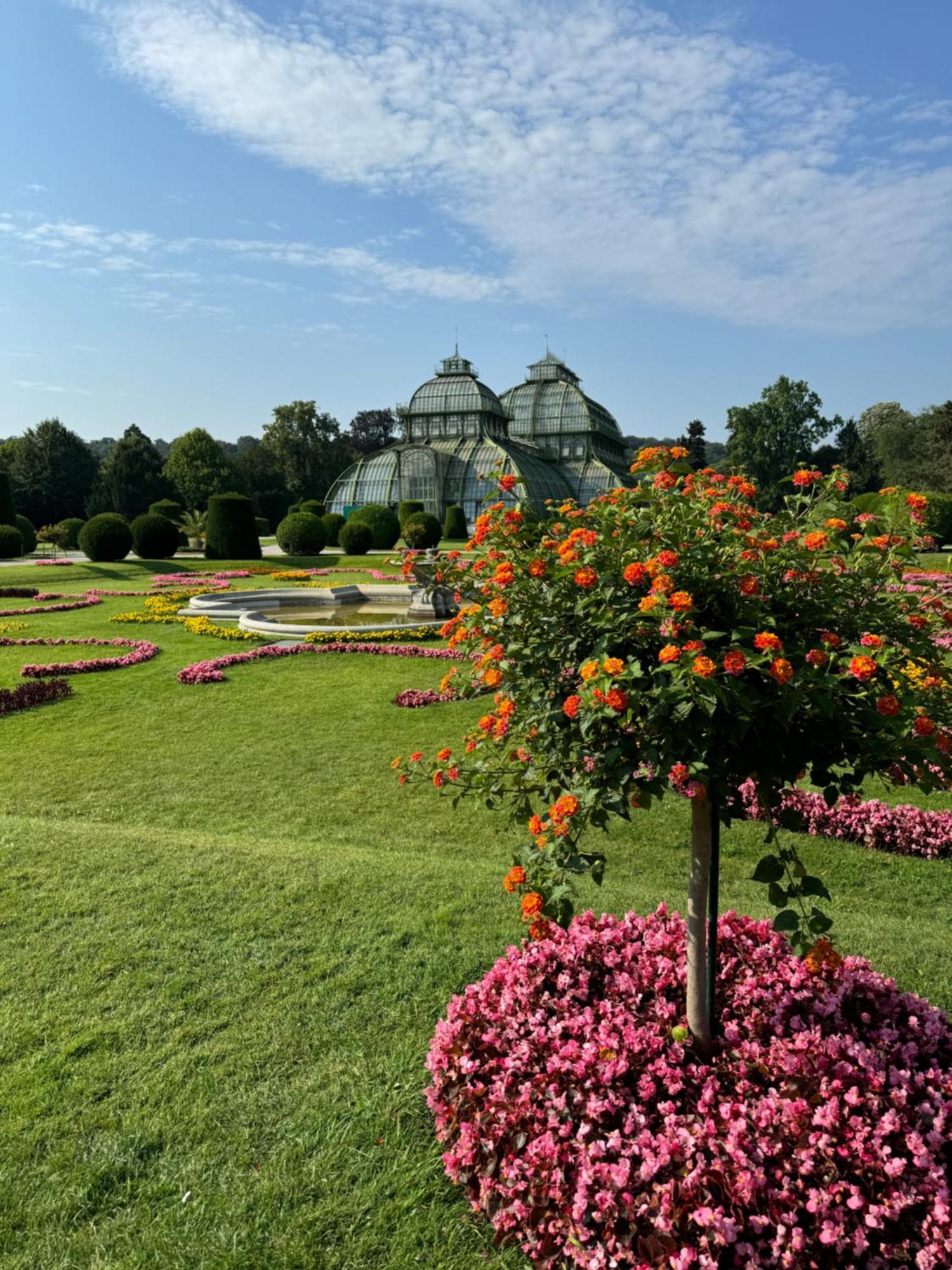 Nahe Schoenbrunn 13 * Wien