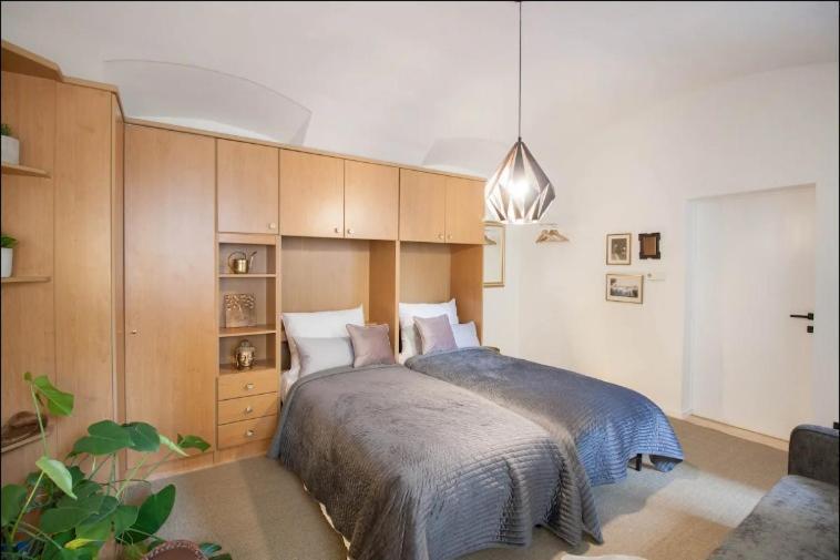 Apartment Suesses Naehe Volkstheater Vienna