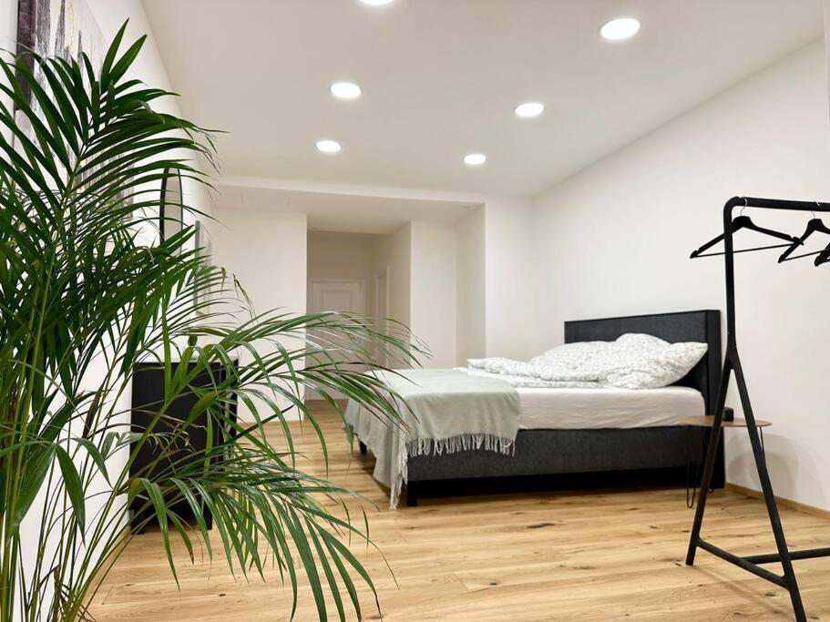 Stylish Central 2 Bedroom