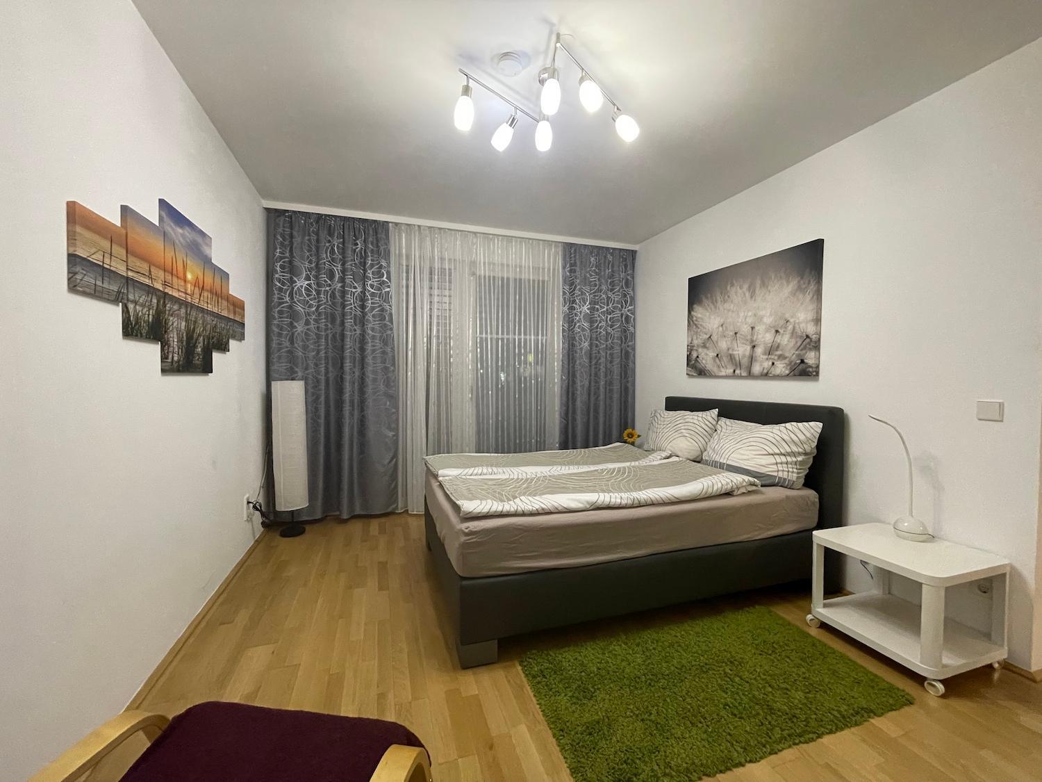 Apartment Modern Danube