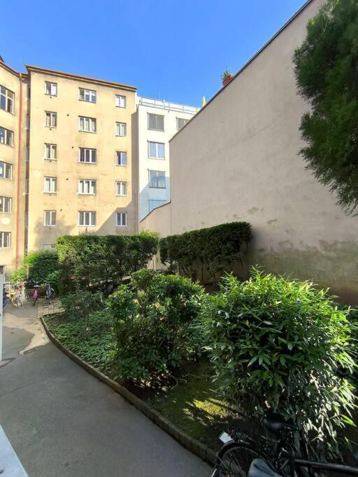 Bright Flat Next To Schoenbrunn