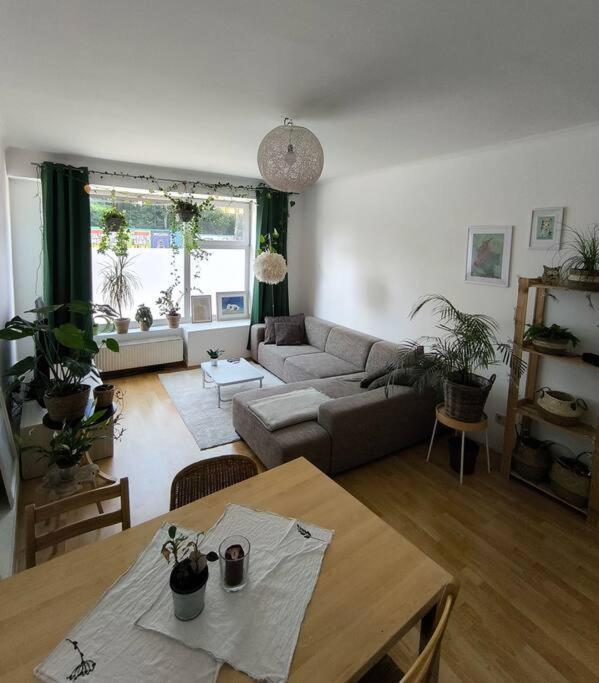 Bright Flat Next To Schoenbrunn