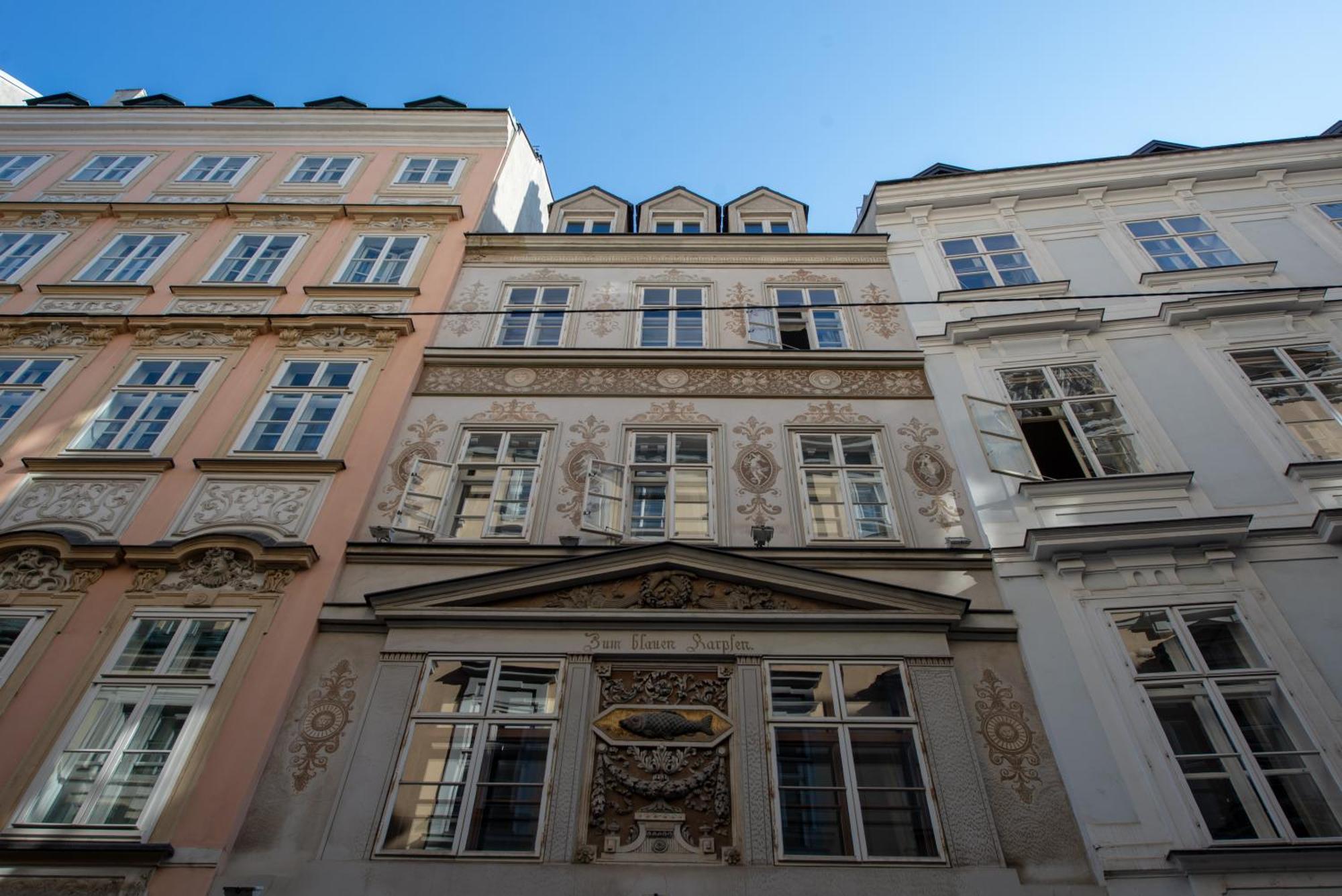 Apartment Zum Blauen Karpfen Vienna
