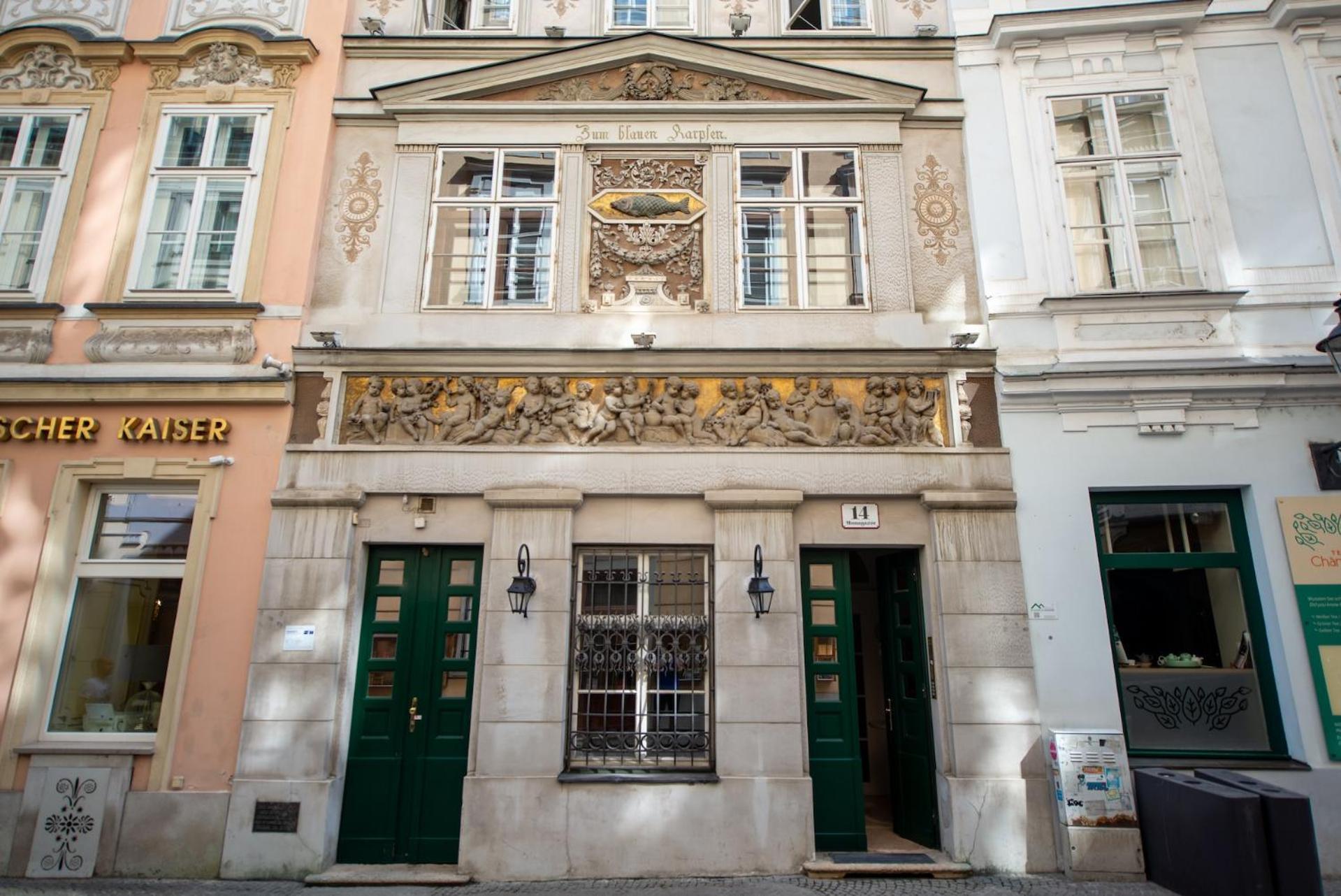 Zum Blauen Karpfen Apartment *