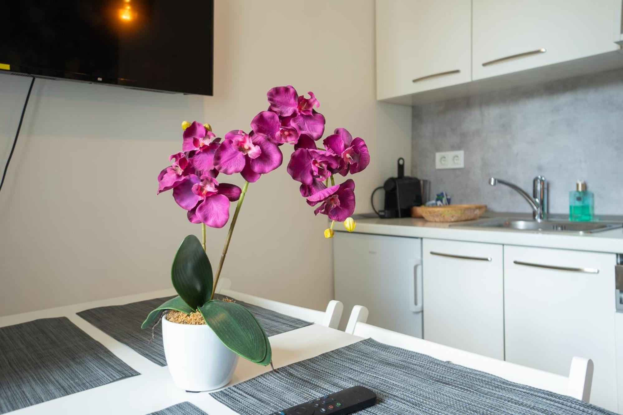 Apartment Dainn Schoenbrunn *