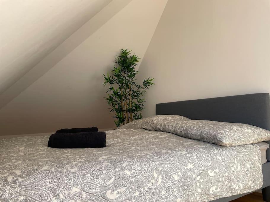 Modern & Spacious - Free Parking * Viena