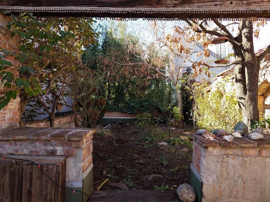 Big Garden Apartment, 10 Minutes To U4 And U6 Appartamento