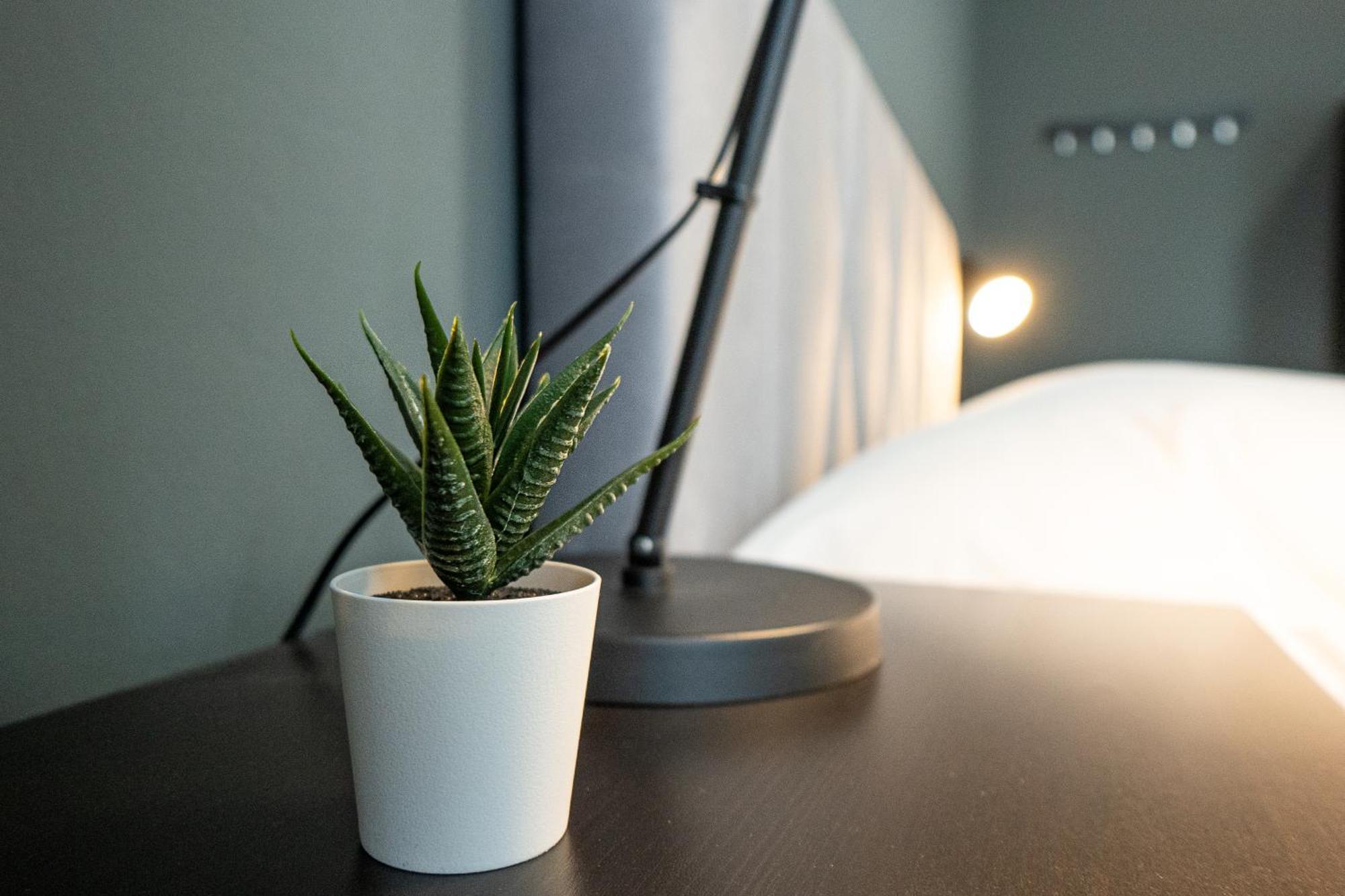Cozy 1-br With A King Bed In A Calm Area Apartment Vienna