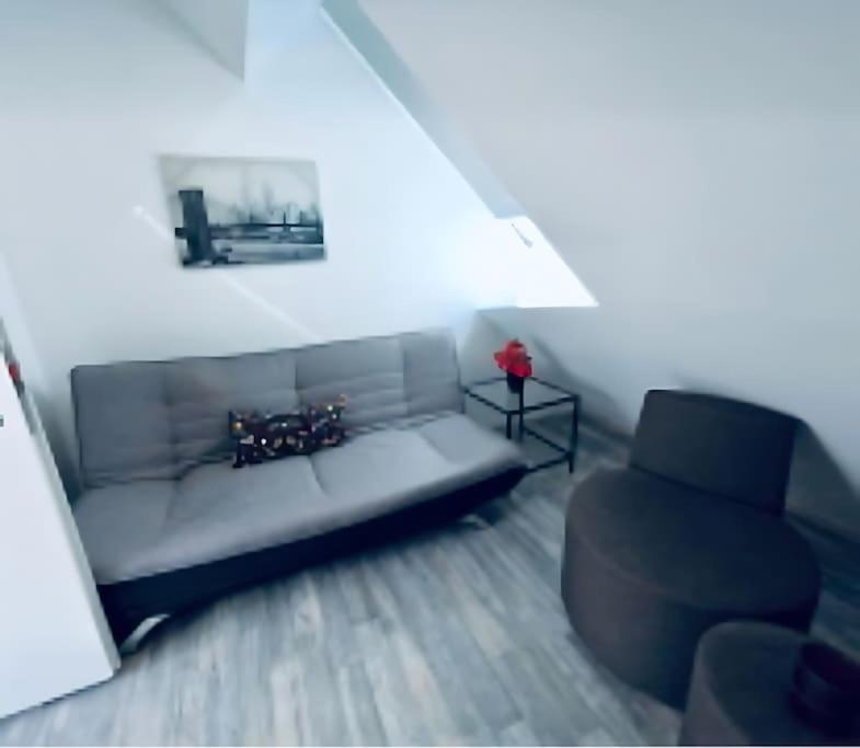 Central 4br Apt With Terrace, 10min Walk To Augarten